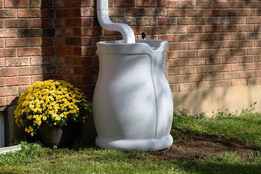 Organic Gardening: A Sustainable Way to Grow Your Own Food